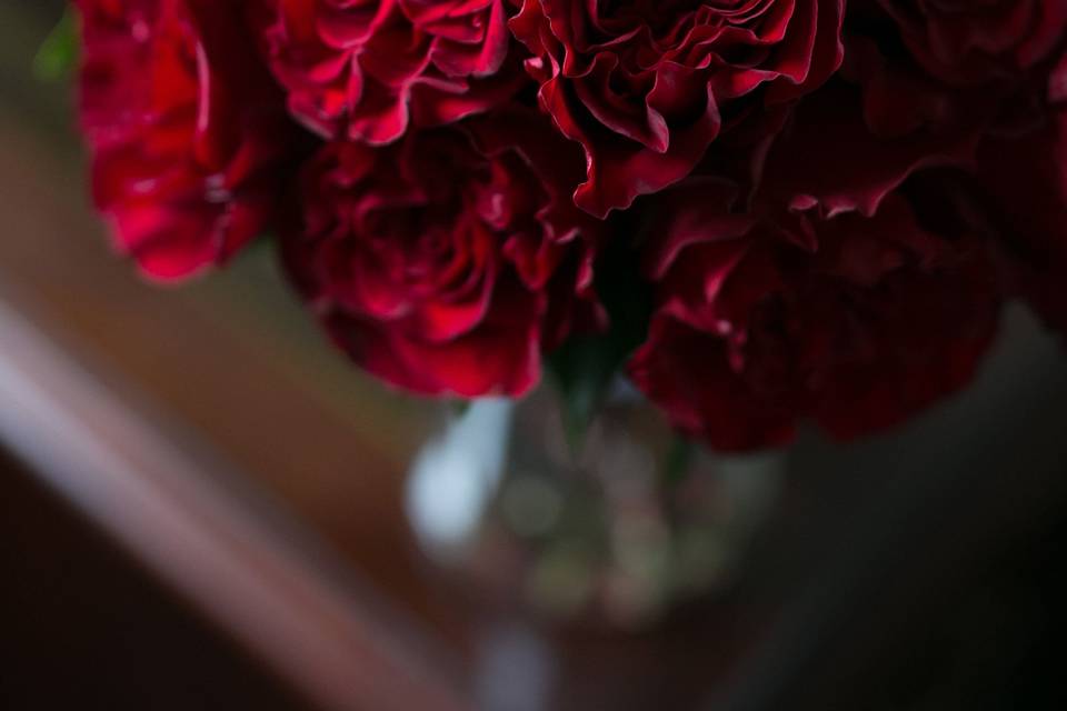 Beautiful Red Roses