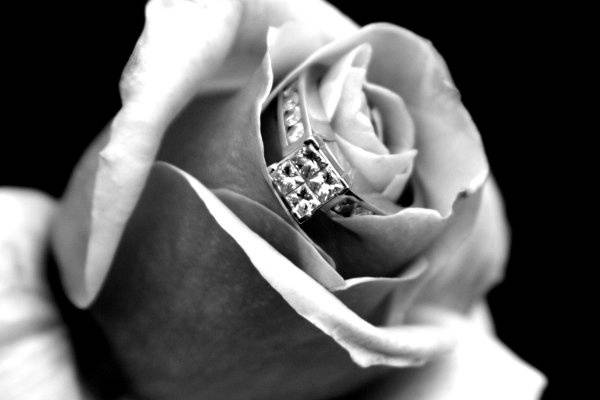 for the love of the moment photography