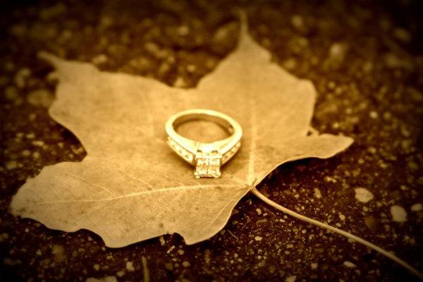 for the love of the moment photography