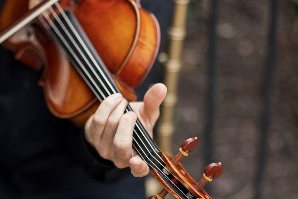 Little Rock String Quartet