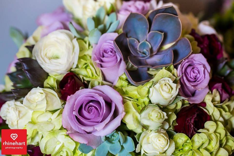 Hydrangea and roses