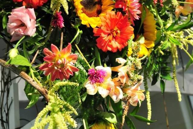 The Sunflower Lady