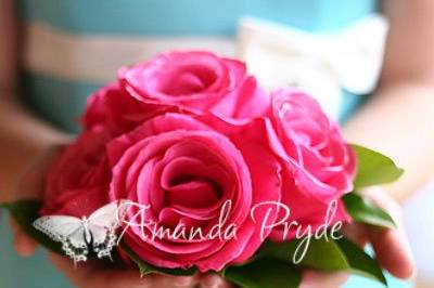 Amanda Pryde, Photographer