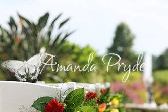 Amanda Pryde, Photographer
