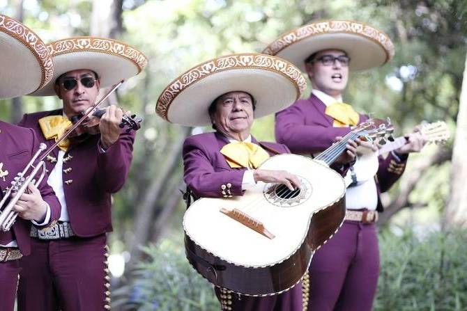 Mariachi Guadalajara en PR