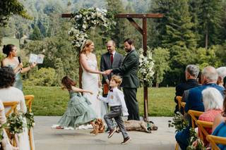 Brandi Rollins Photography