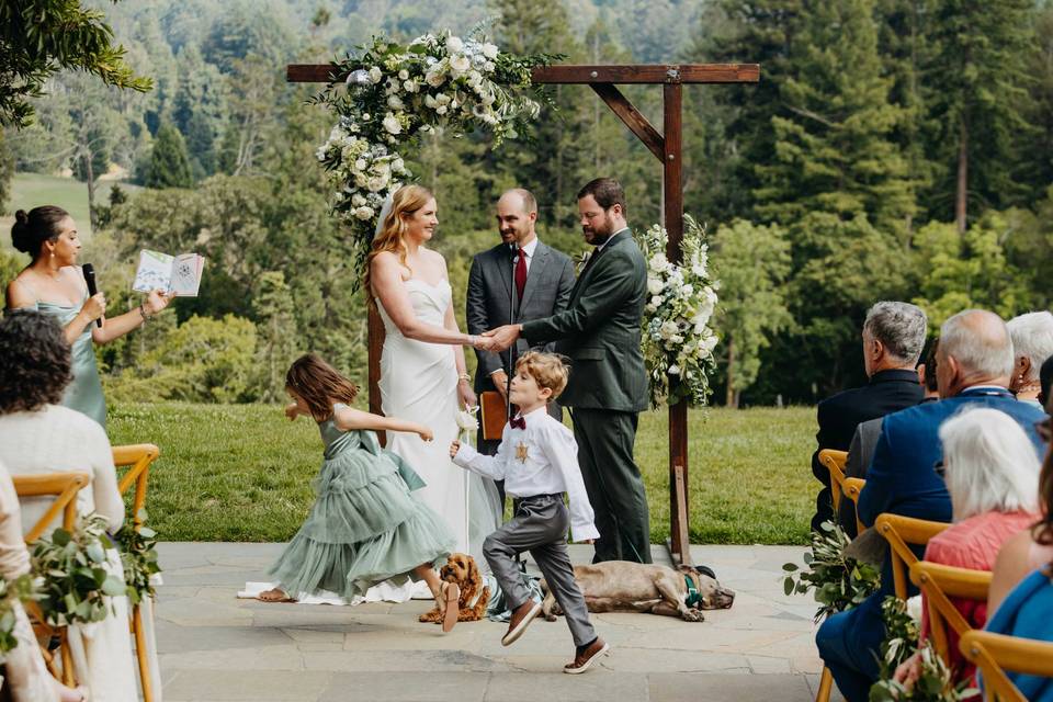 Brandi Rollins Photography