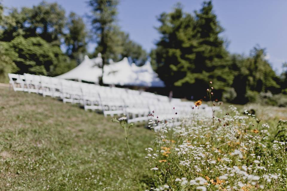 Outdoor wedding