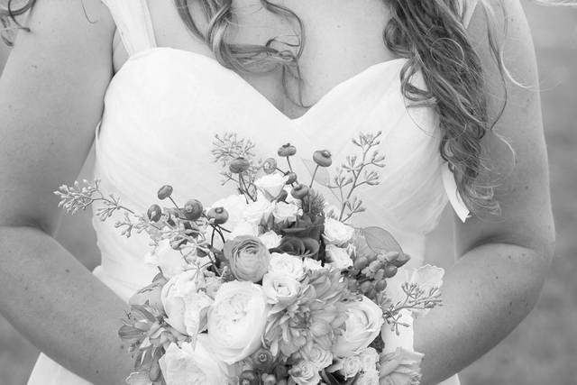 Kathy Blanchard Photography