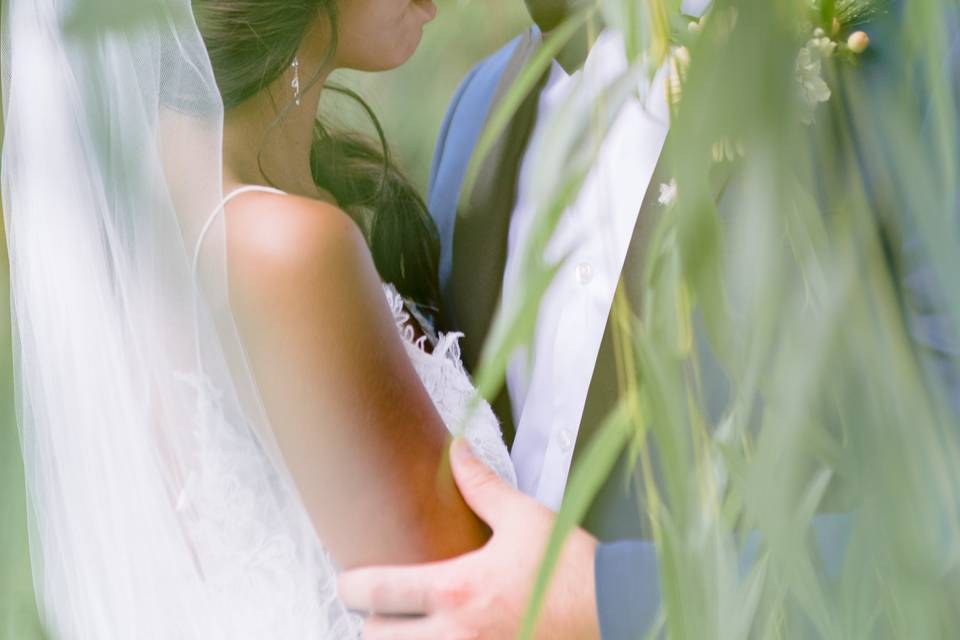 Beneath the Willows