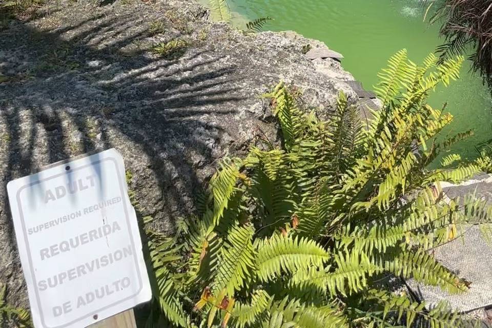 Blue Lagoon Farm Miami