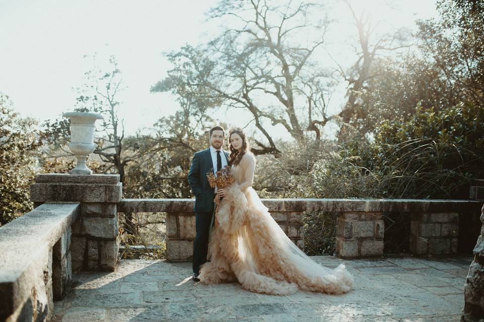 Winter dream elopement