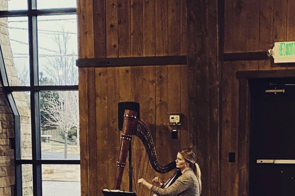 Wedding in Colorado