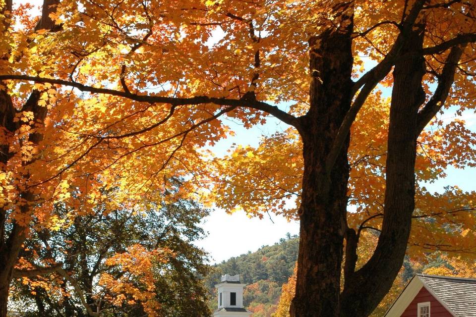 Garden Terrace