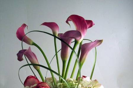 Calla lily, rose and green hydrangea river rock in vase