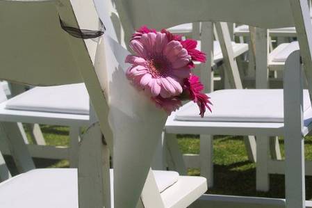 Vellum Cone with Gerbera Daisies