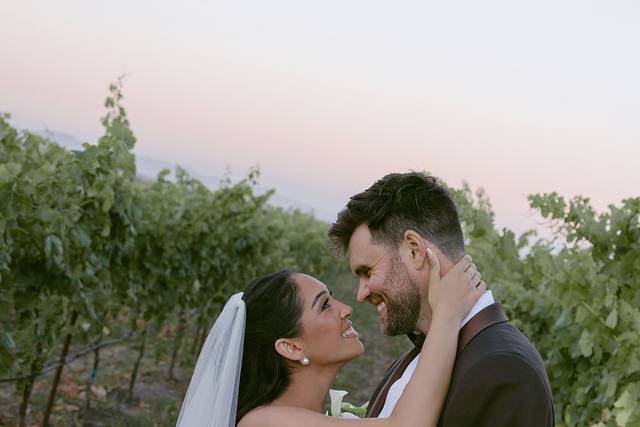 Napa wedding
