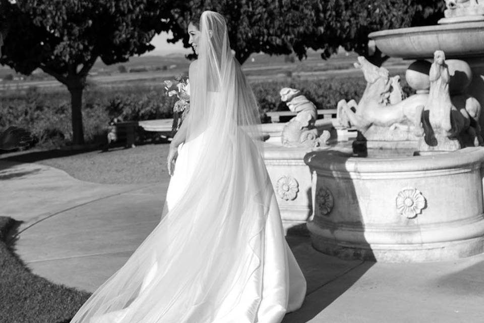 Napa CA vineyard wedding