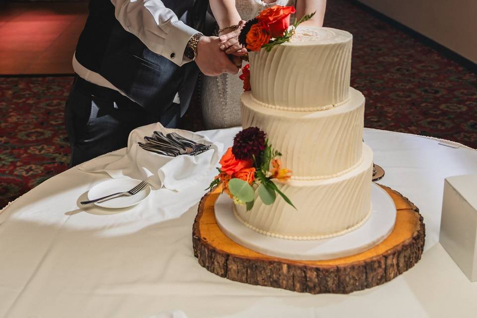 Newlyweds cut the cake