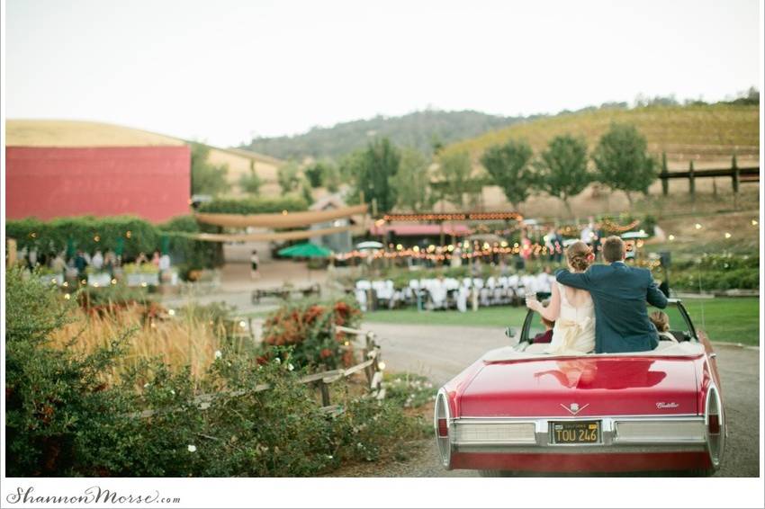 Shannon Morse Photography