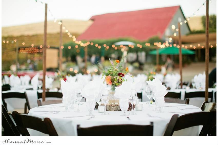 Shannon Morse Photography