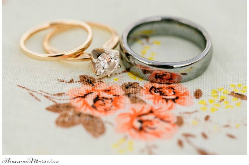 Shannon Morse Photography