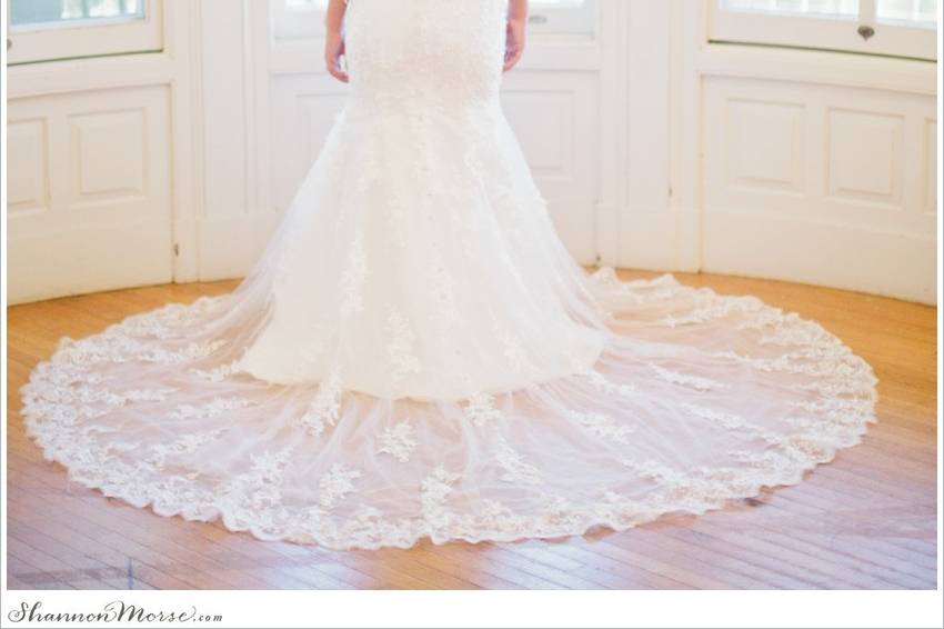 Shannon Morse Photography
