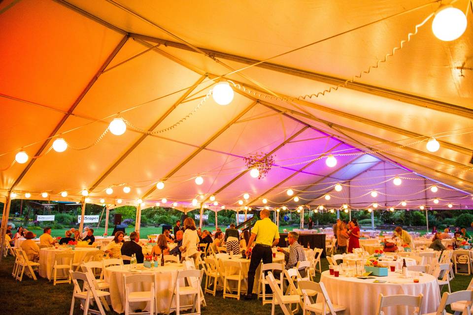 Tent Accent Lighting with Globe String Lighting