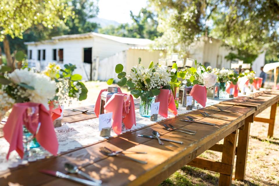 Farm style table settings under the trees