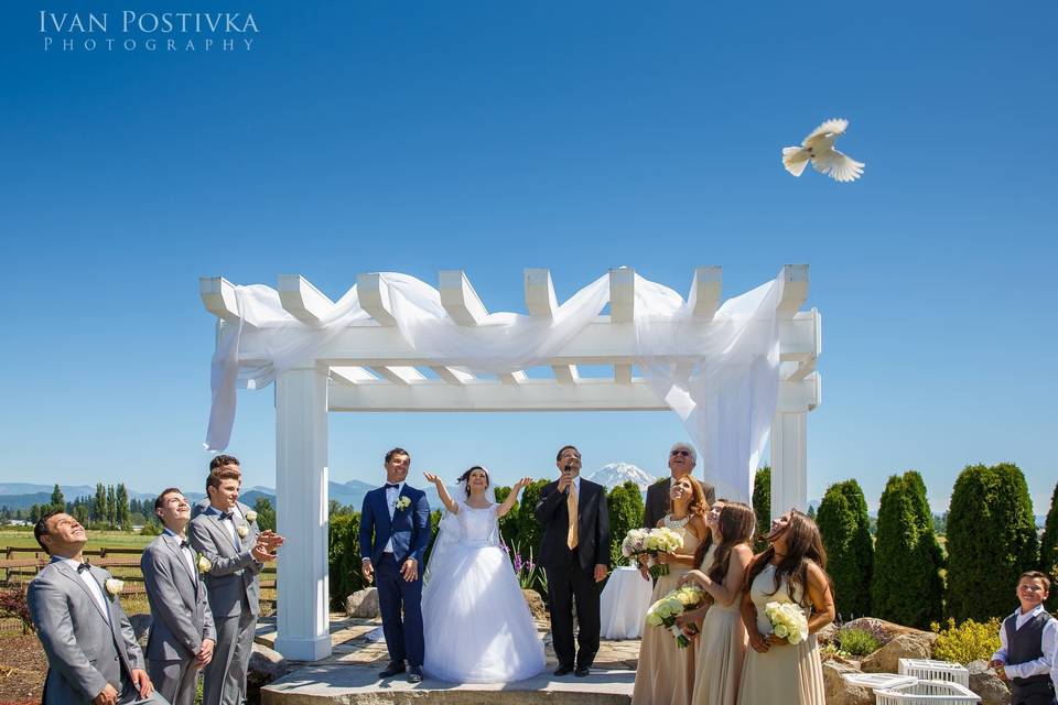 Dove release - Ivan Postivka Photography