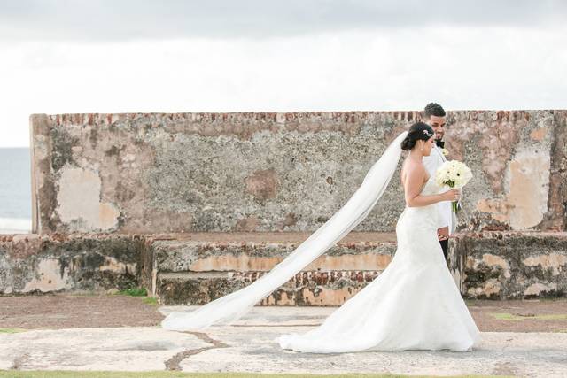 Ariana Delfi Weddings