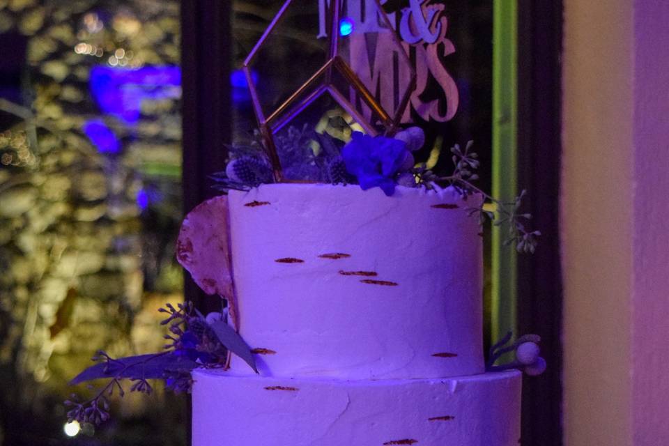 The cake - Captured by Carina