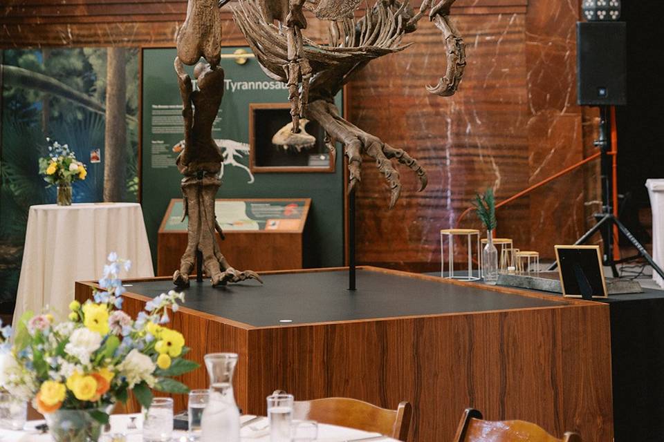 Tyrannosaur