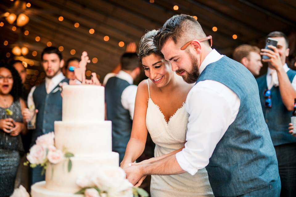 Cake cutting