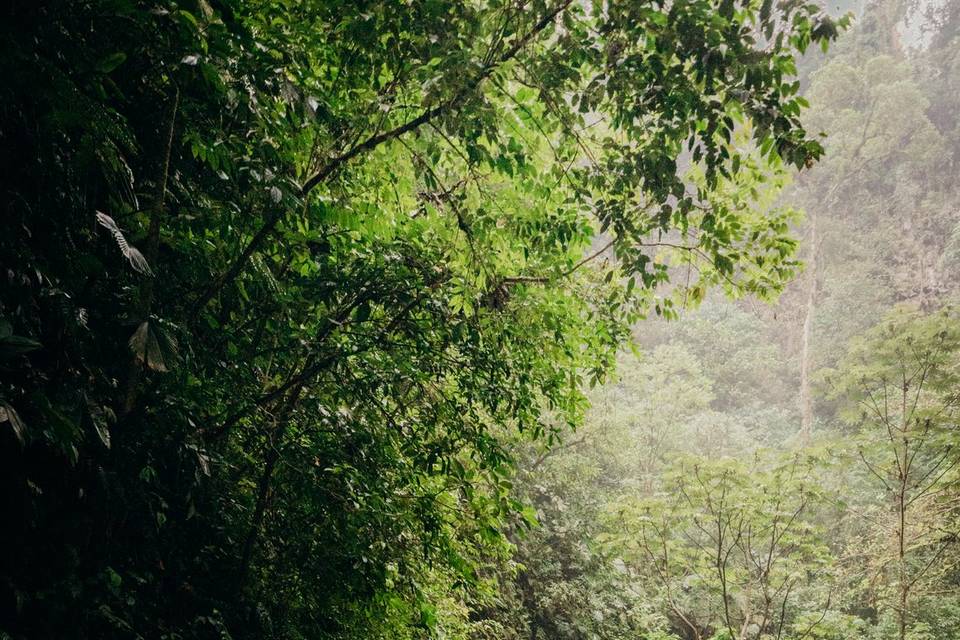 La Fortuna Waterfalls, CR