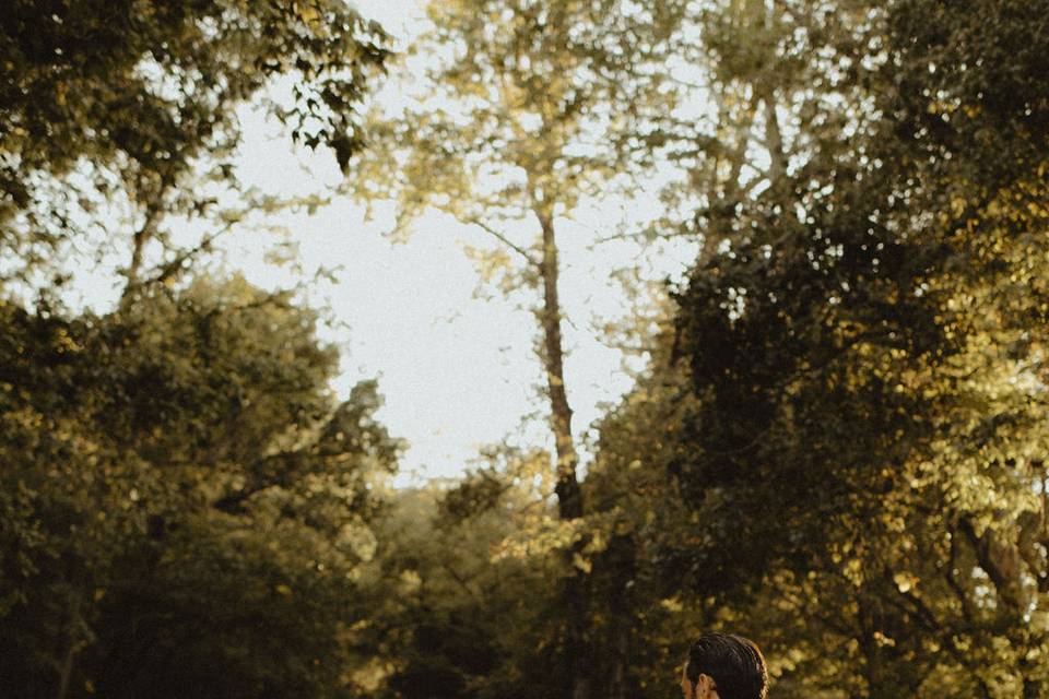 The Road at Firefly Lane