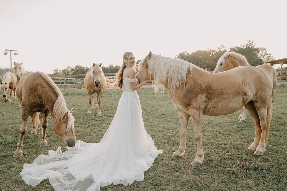 Horse bridals