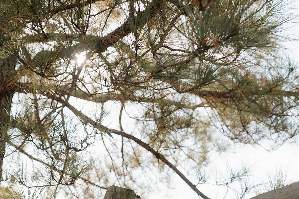Raleigh Wedding