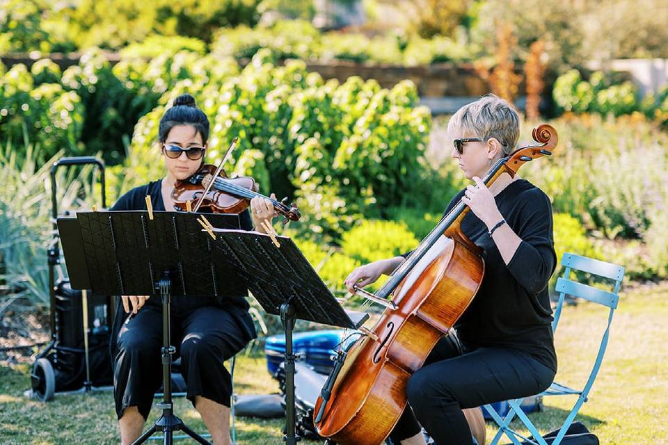 Playing in botanical gardens