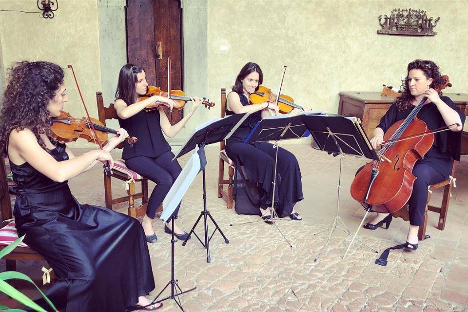 String Quartet