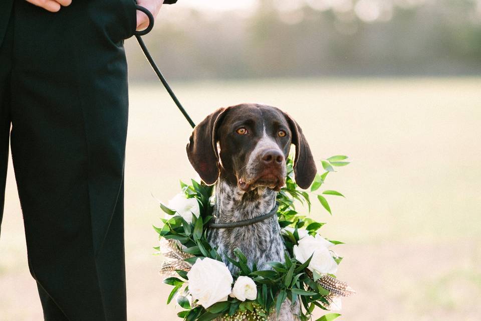 Ready for the walk down the aisle
