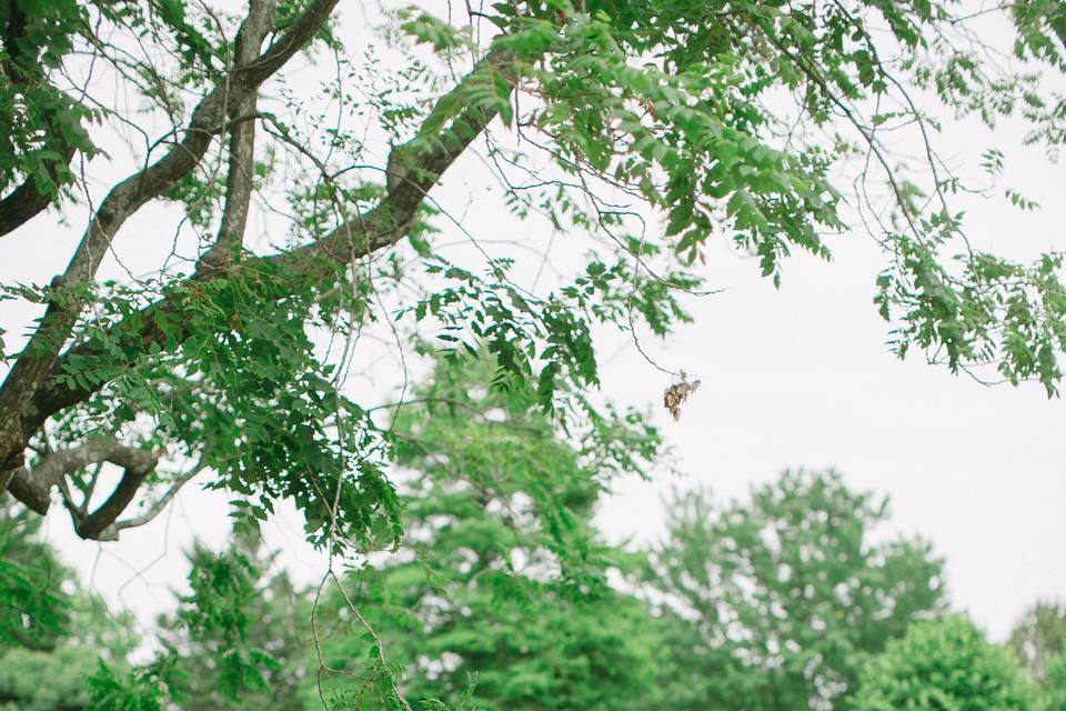 Wedding bouquets