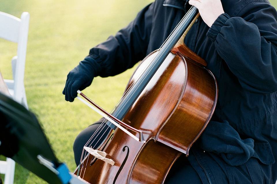 Violin & Cello Duo