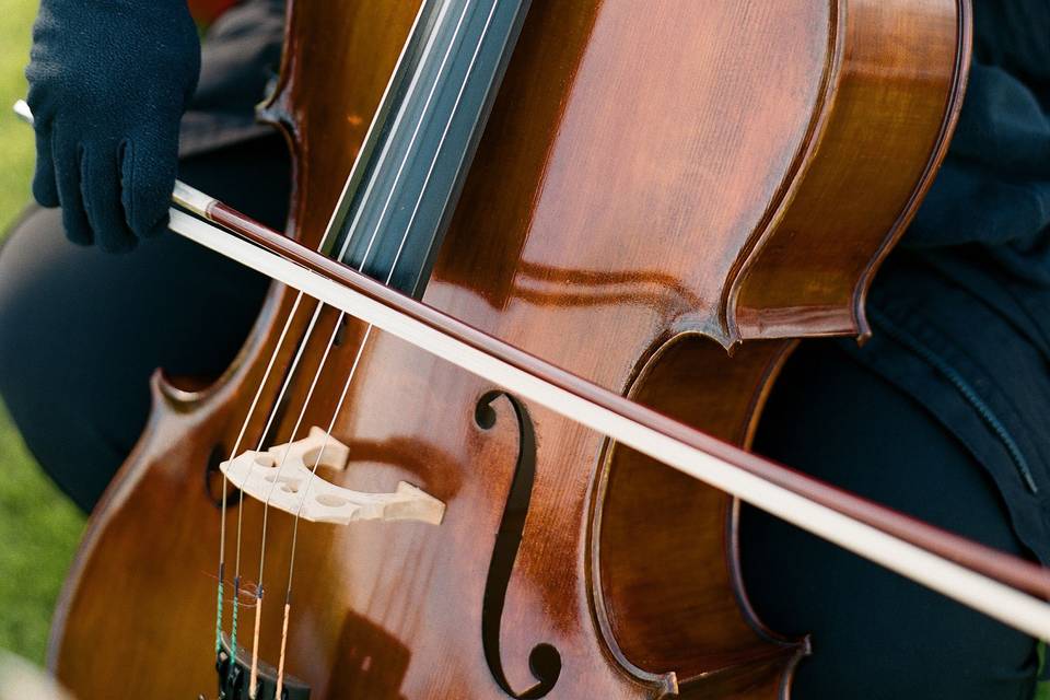 Violin & Cello Duo