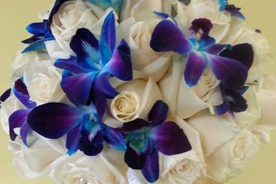 Beautiful Blue Orchids