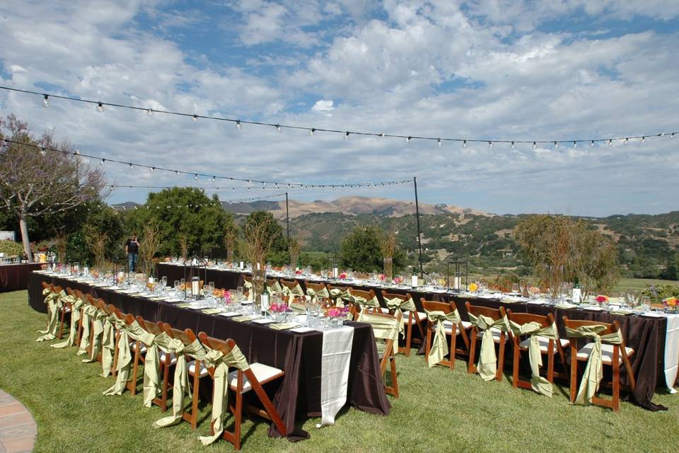 Back lawn set up for reception dinner.