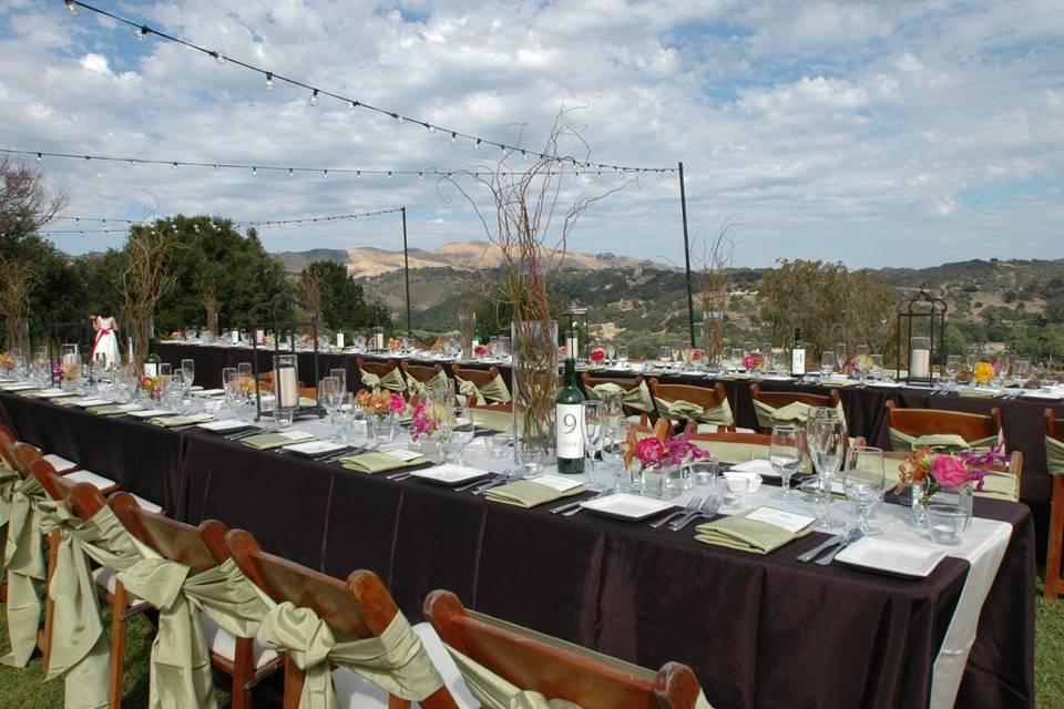 Closer view of the table set up on the back lawn.