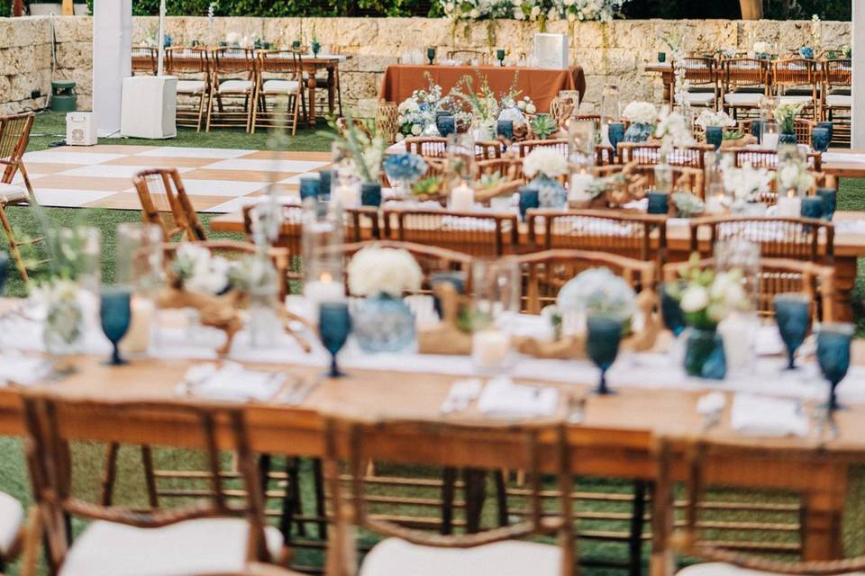 Succulent Greenery, Disco Vibe