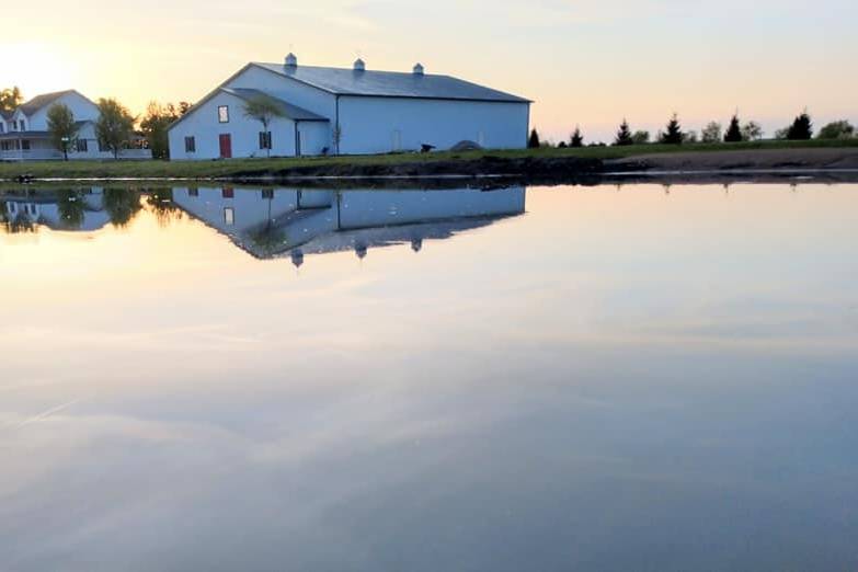 The sky reflecting in the pond outside