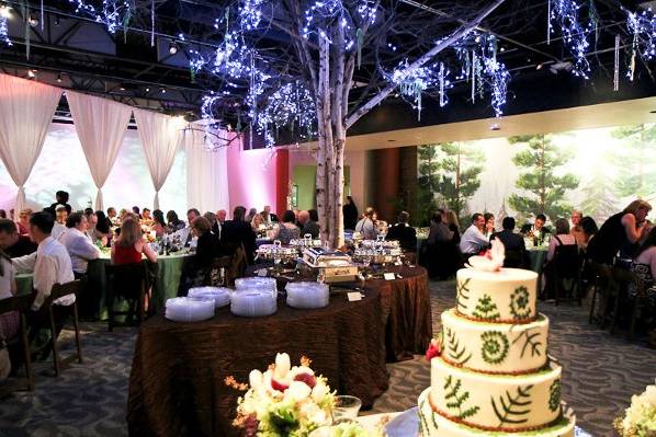Mitchell's Gallery space provided the background for the fairyland forest inspired nuptials. The centerpiece of the affair was the live tree decorated with twinkling lights brought in for the middle of the buffet!  Photo by Spots of Time Photography